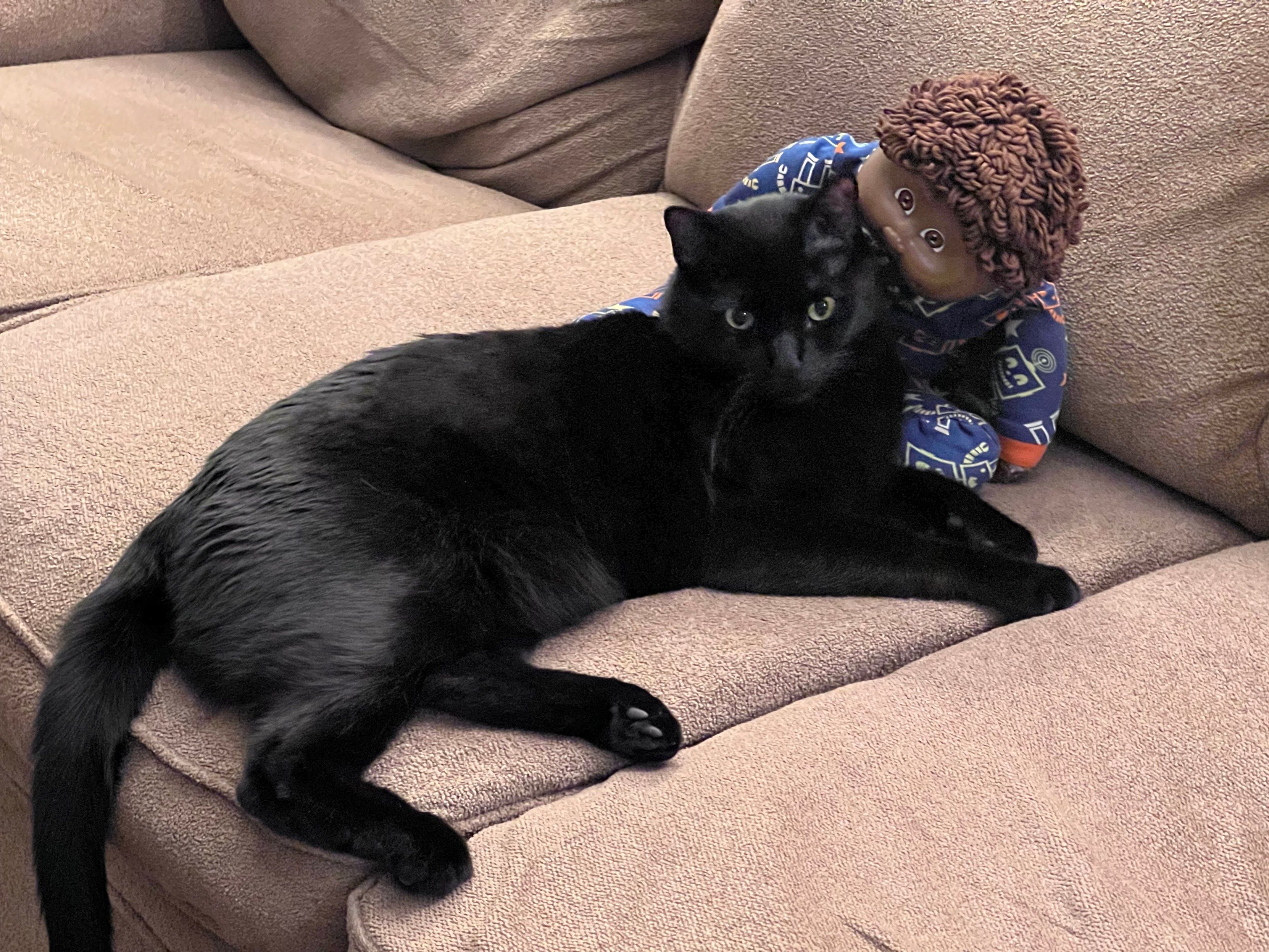 Mastodon Post 2023-10-21