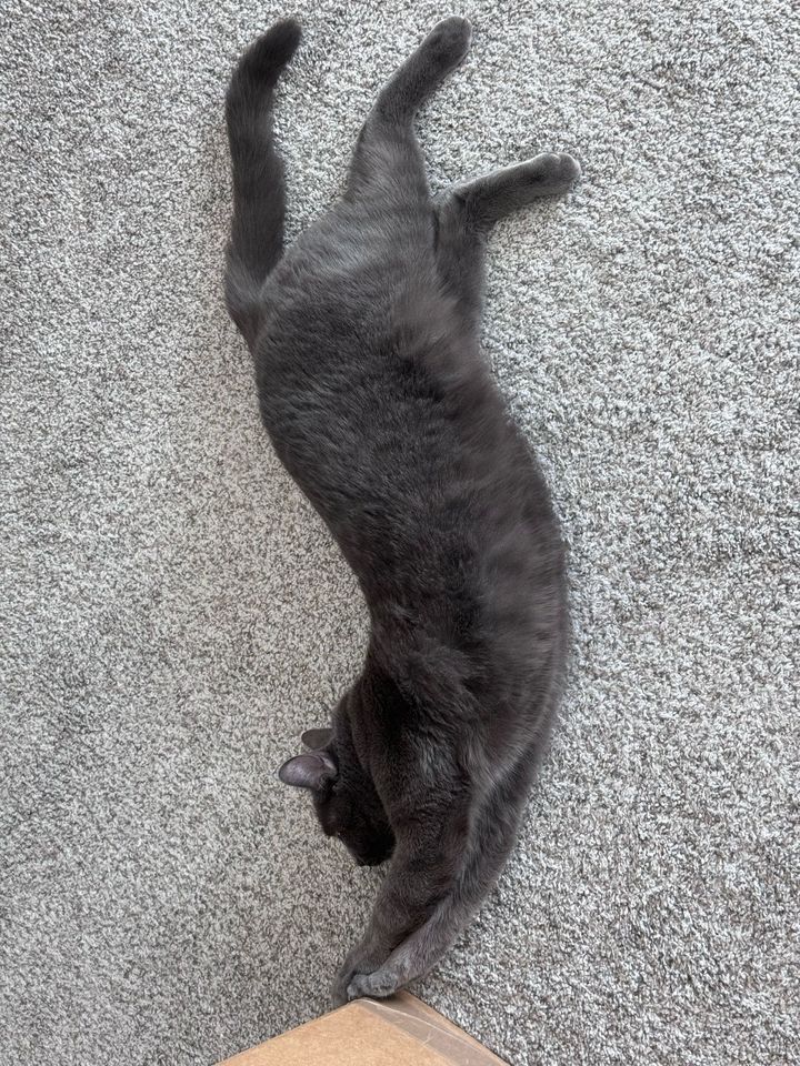 Bluesky Post 2024-04-13