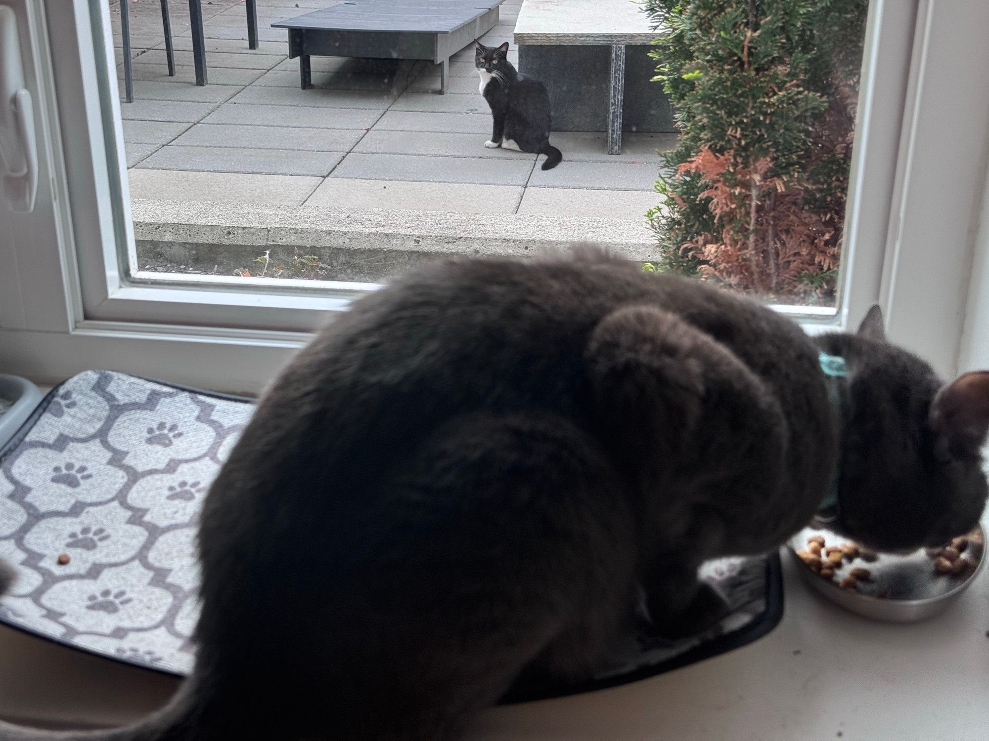 Bluesky Post 2025-09-06