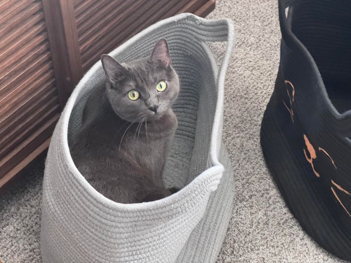 Mastodon Post 2024-12-14