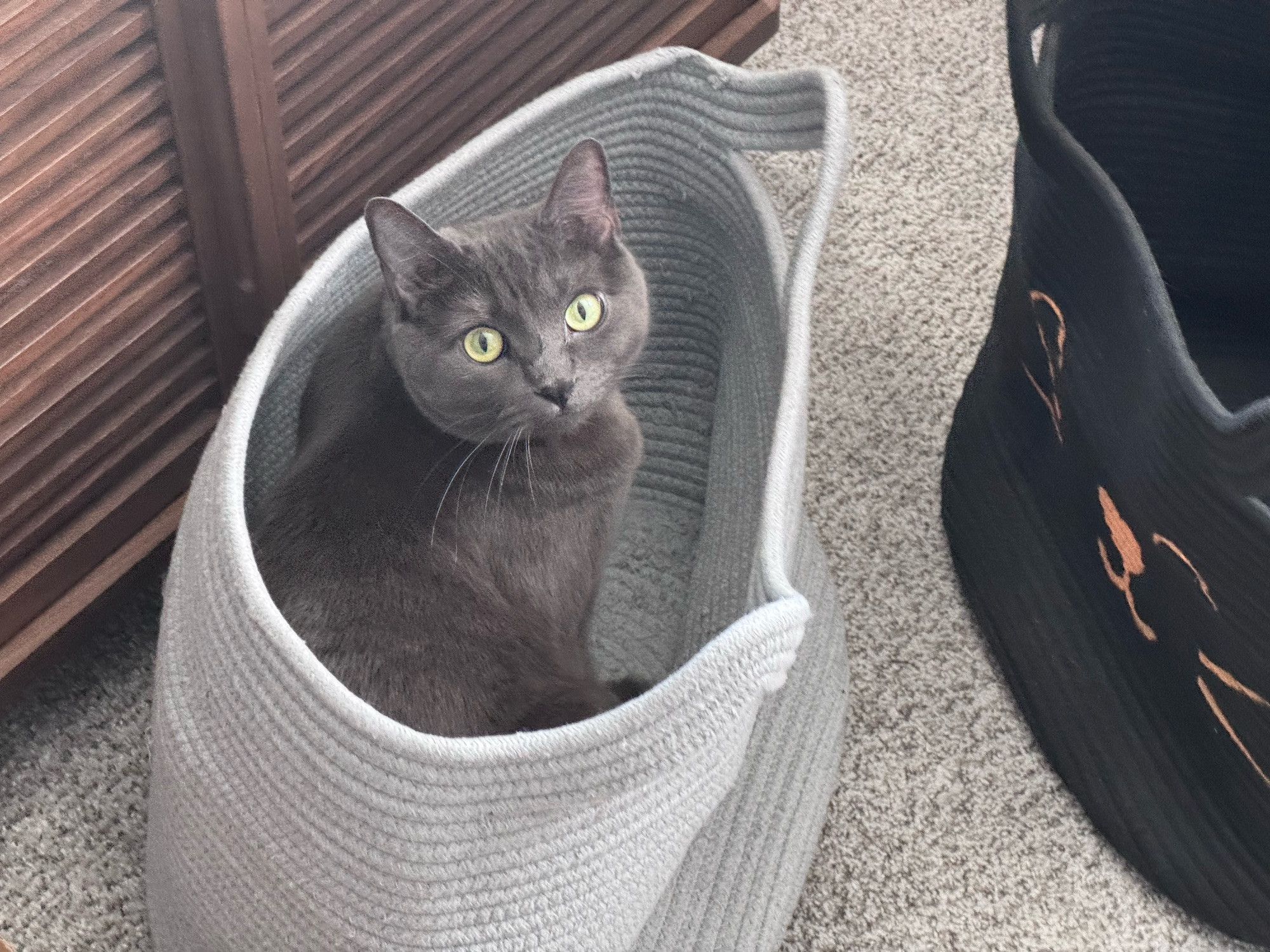 Bluesky Post 2024-12-14