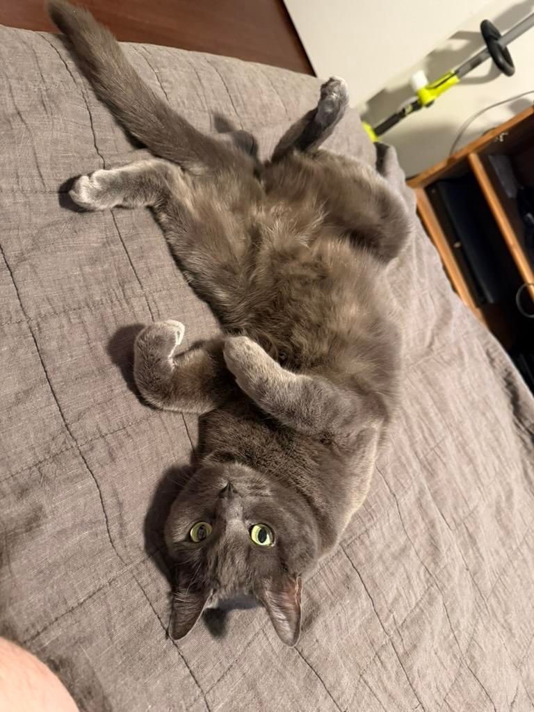 Mastodon Post 2026-01-25