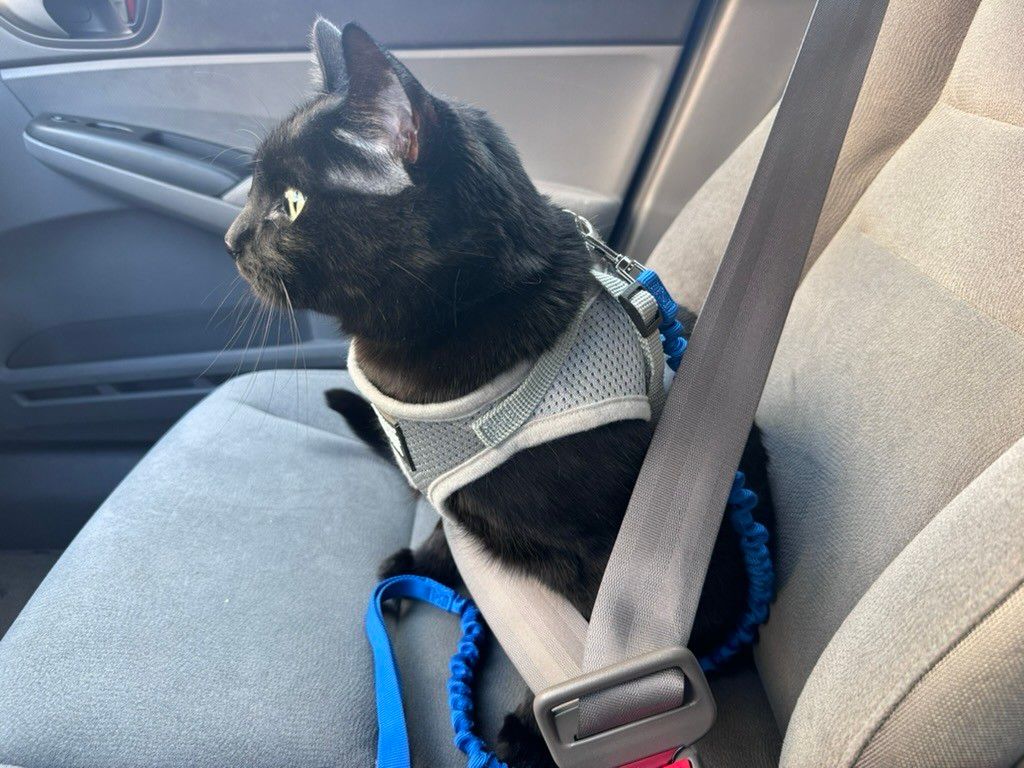 Mastodon Post 2024-05-04