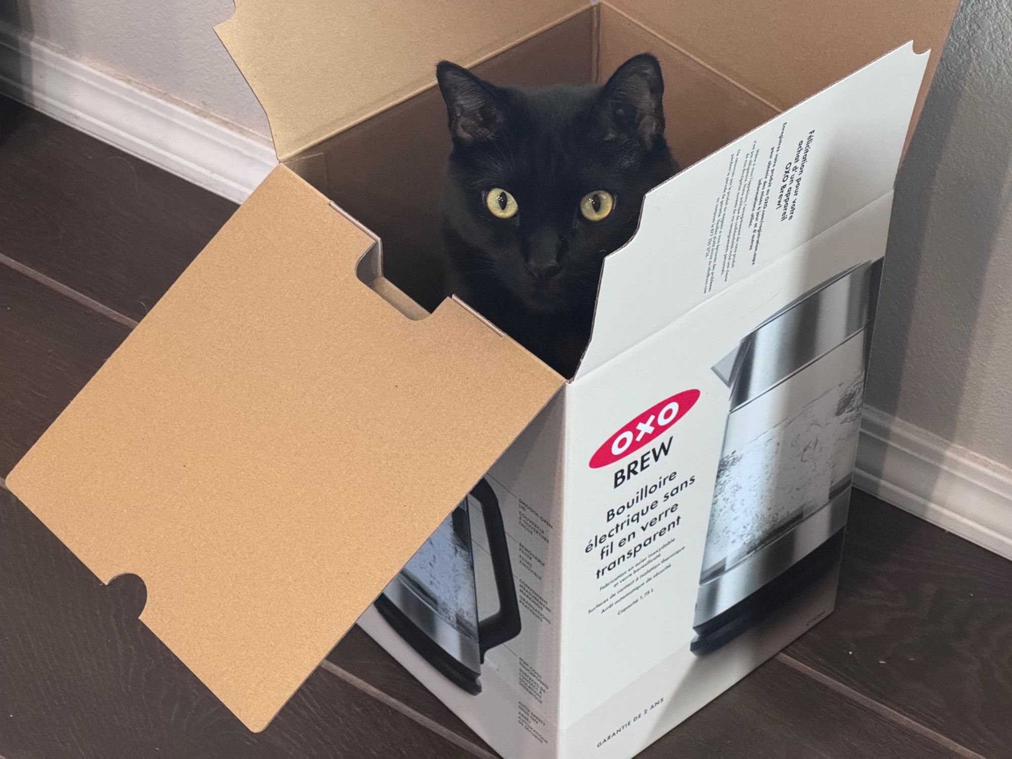 Bluesky Post 2025-02-15