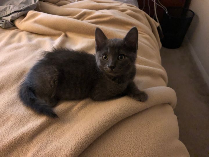 Mastodon Post 2024-06-22