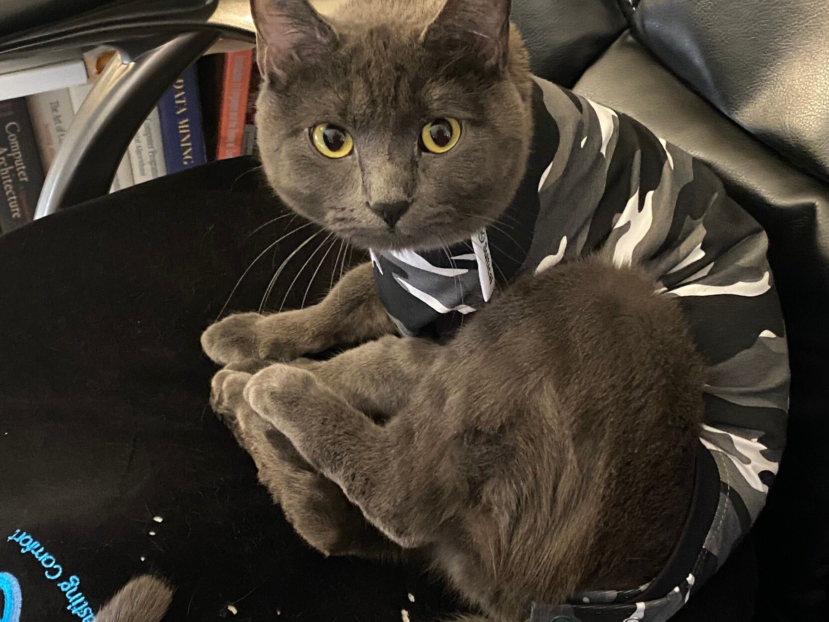 Mastodon Post 2023-05-13