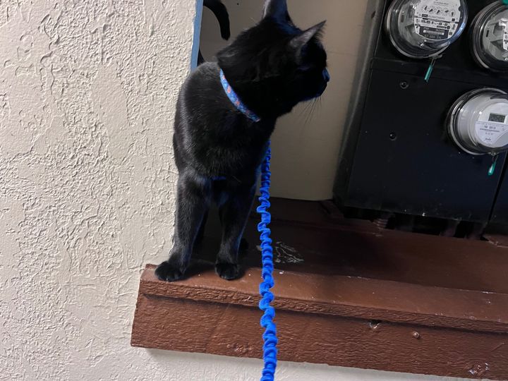 Bluesky Post 2024-09-14