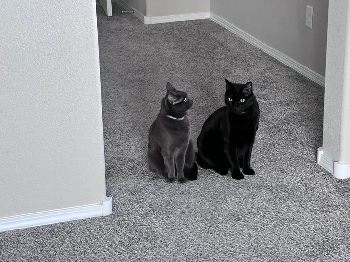 Mastodon Post 2023-03-11