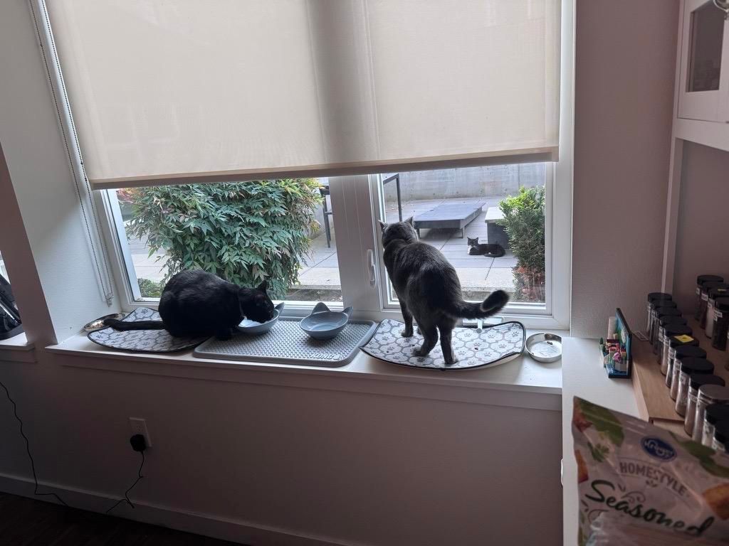 Mastodon Post 2025-09-20