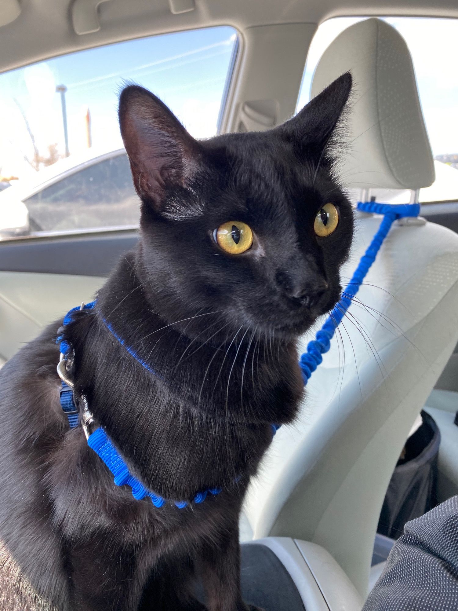 Bluesky Post 2023-07-15