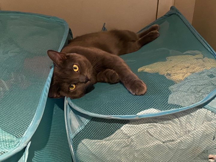 Bluesky Post 2023-07-22