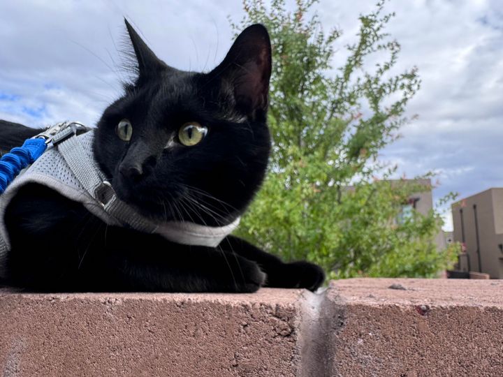 Mastodon Post 2025-04-26