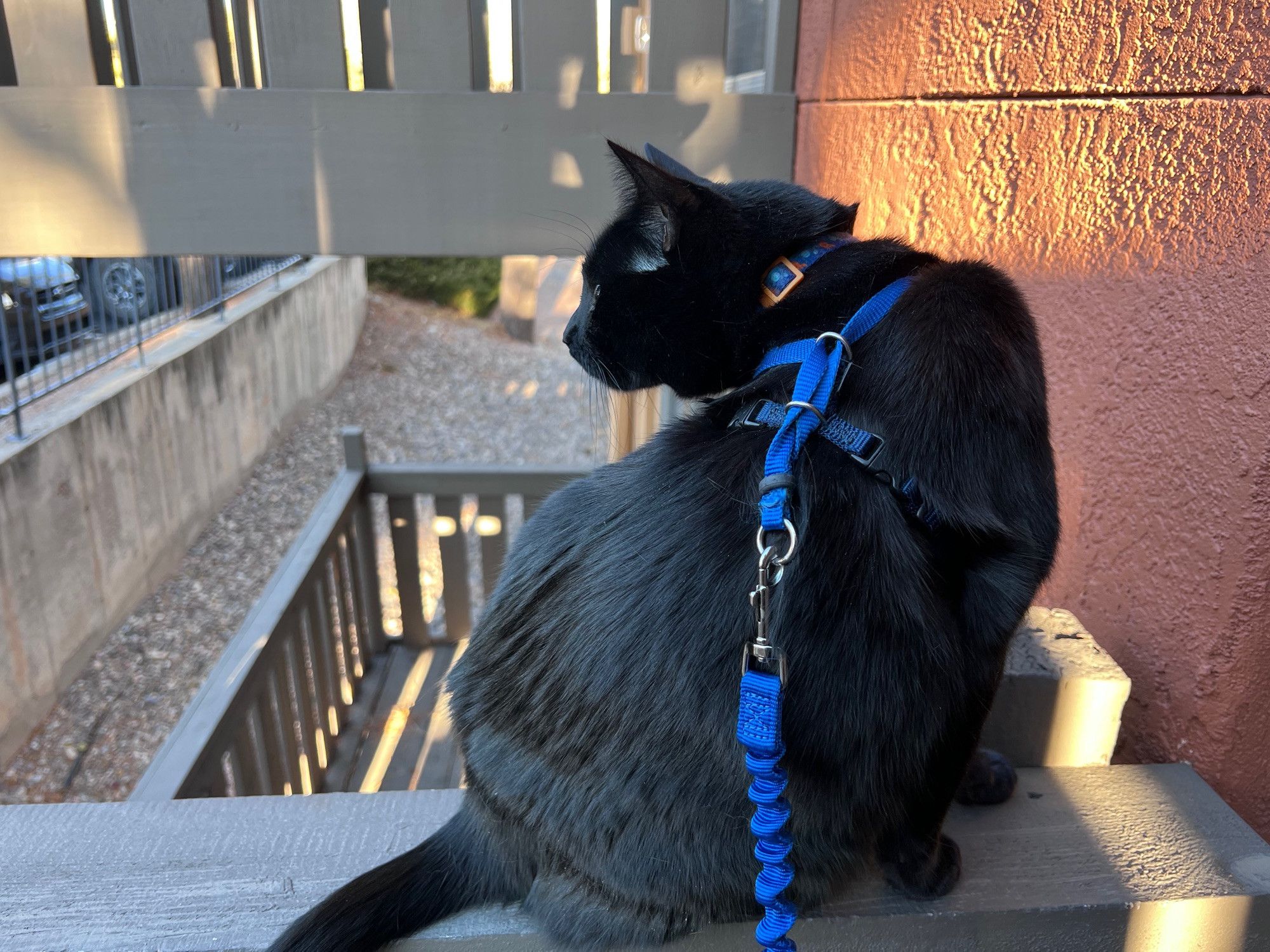 Bluesky Post 2023-08-26