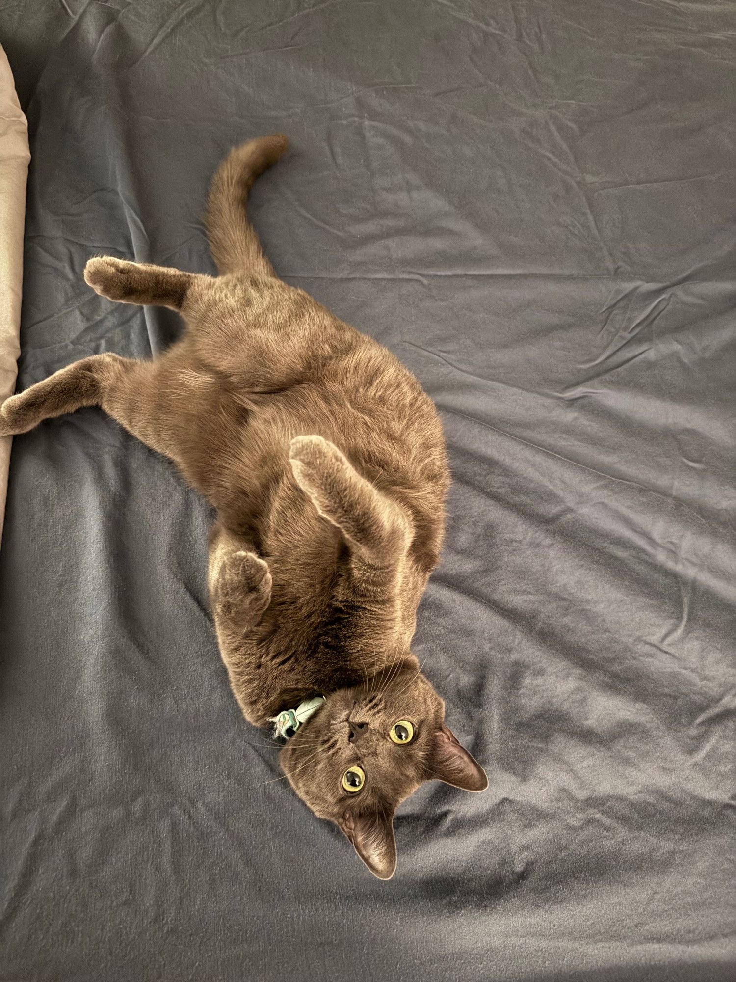 Bluesky Post 2024-03-02