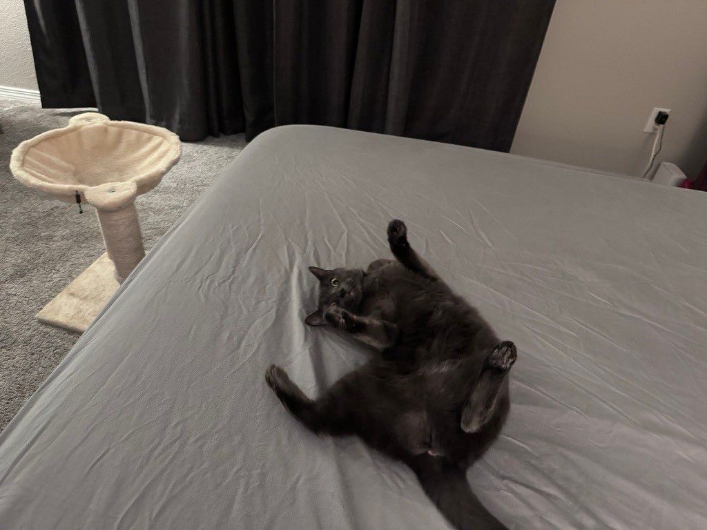 Mastodon Post 2024-05-25