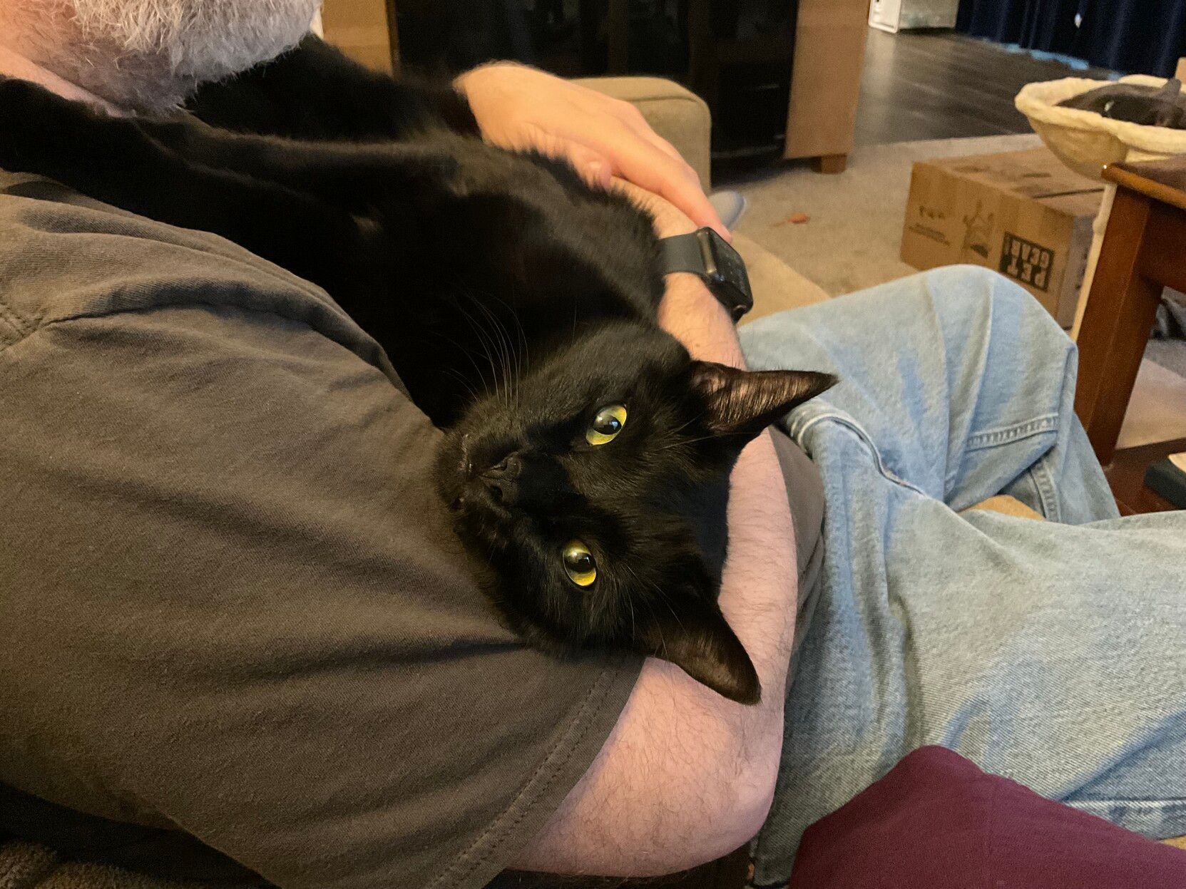 Mastodon Post 2023-05-20