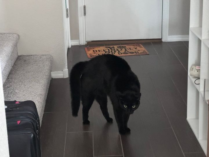 Mastodon Post 2024-04-20