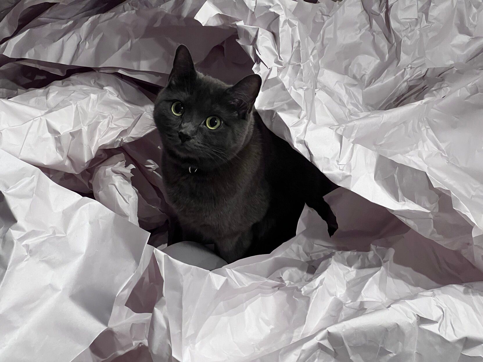 Mastodon Post 2023-04-29