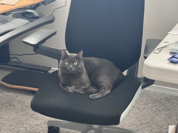 Bluesky Post 2025-06-14