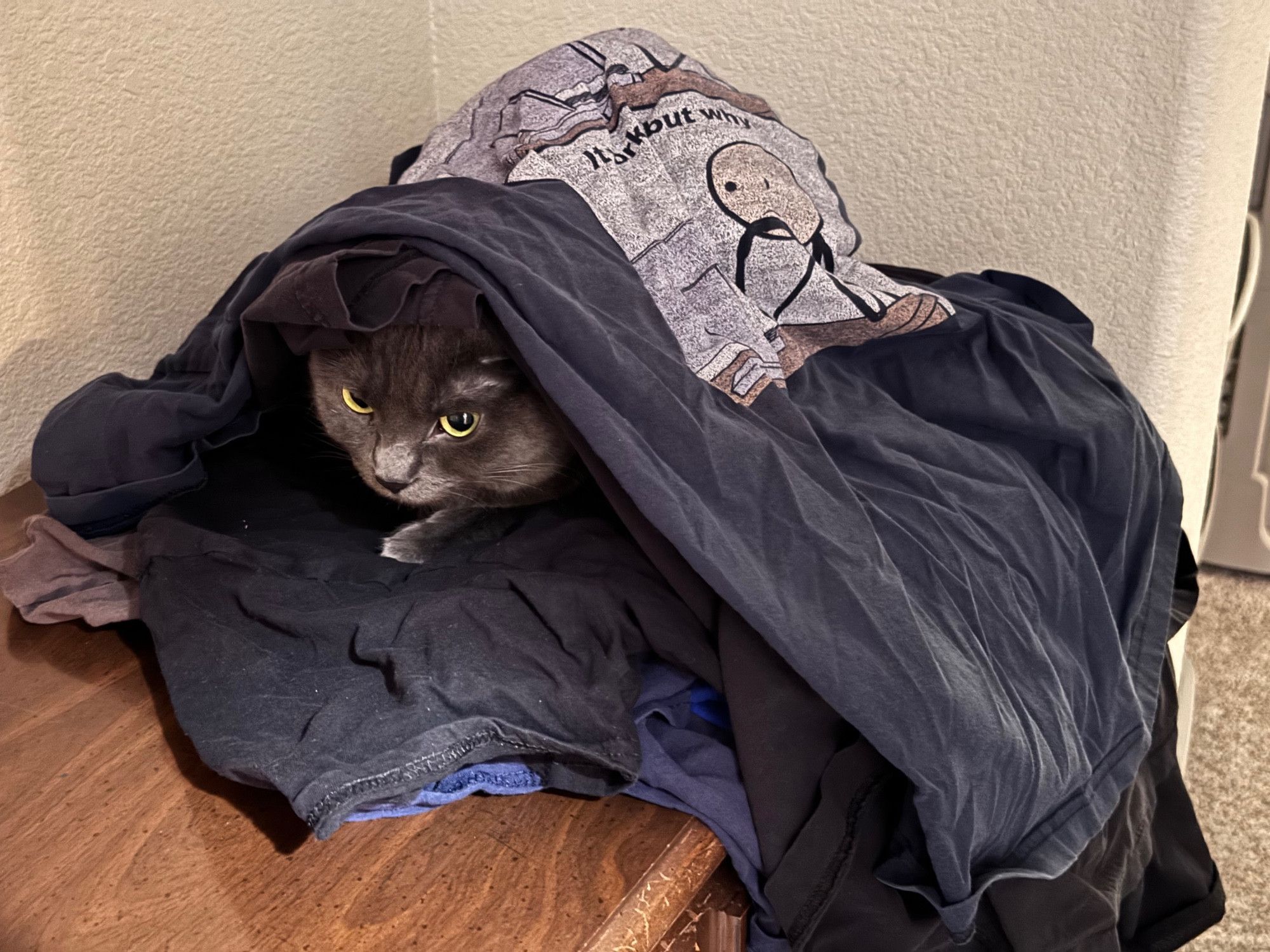 Bluesky Post 2024-04-27