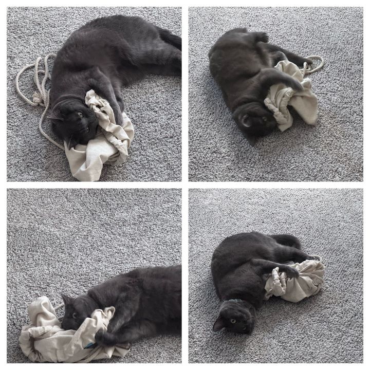 Bluesky Post 2025-04-19