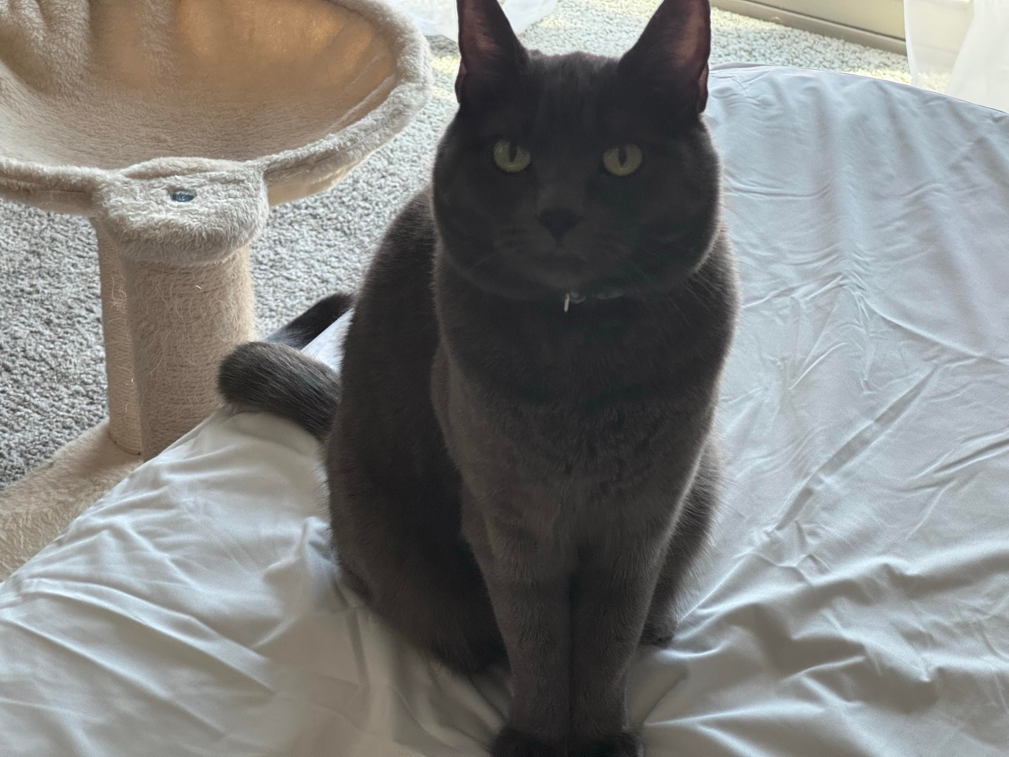 Mastodon Post 2025-05-31