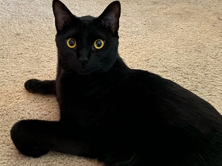 Bluesky Post 2024-10-26