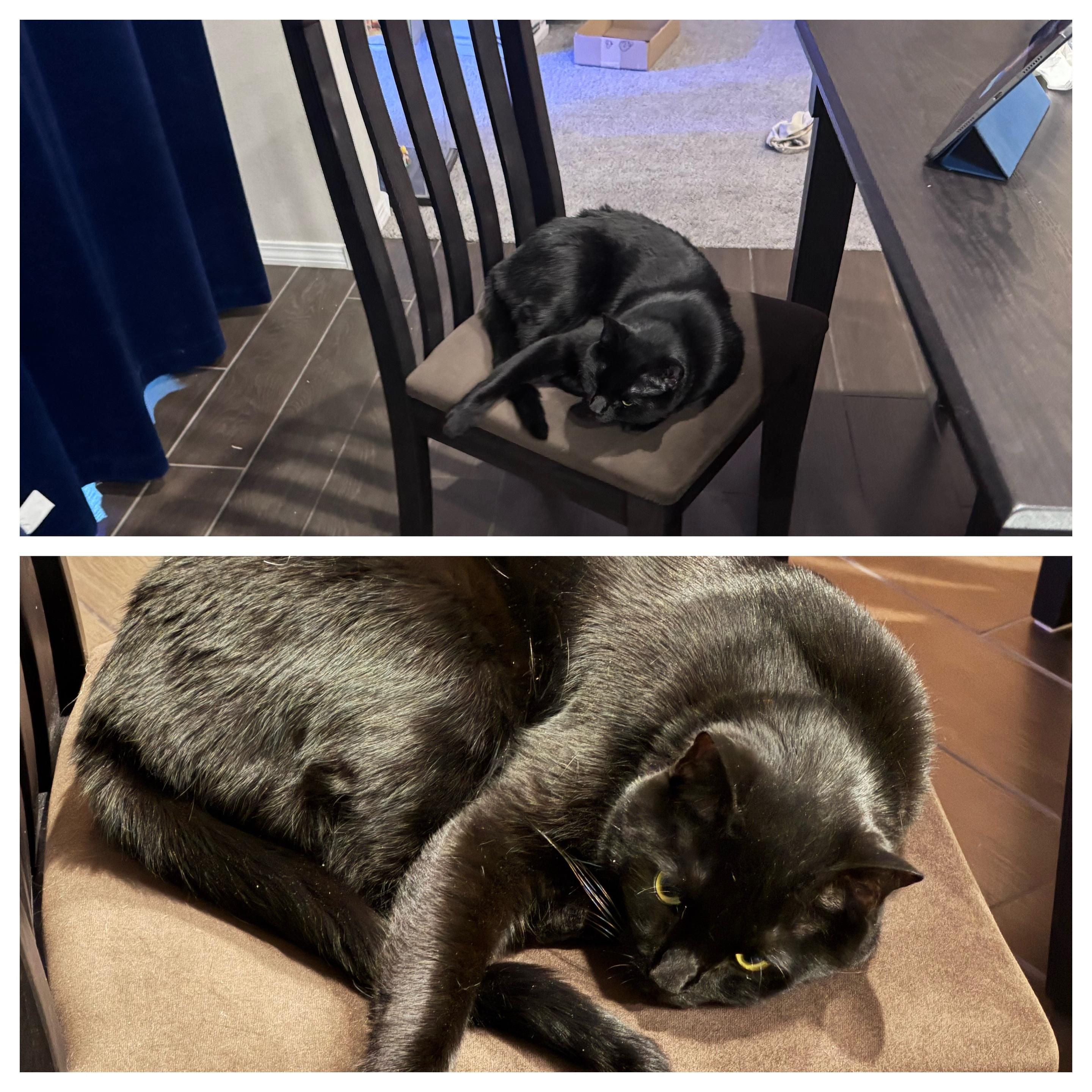 Mastodon Post 2025-01-04