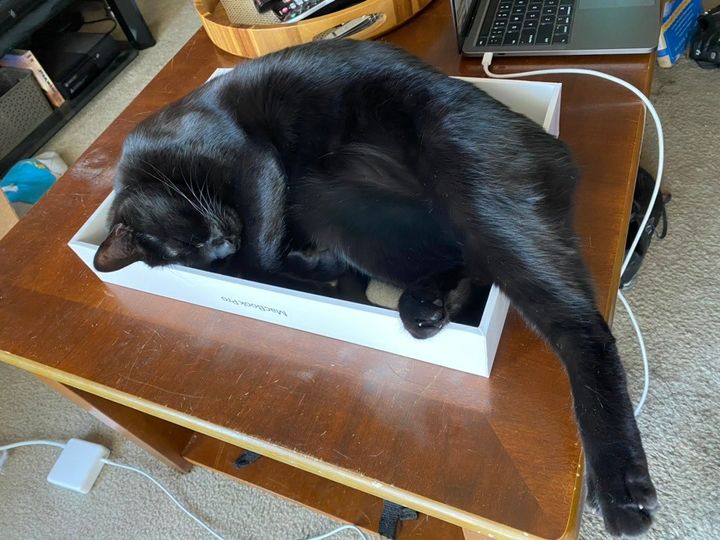 Mastodon Post 2024-11-23