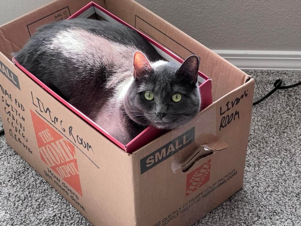 Mastodon Post 2025-06-28