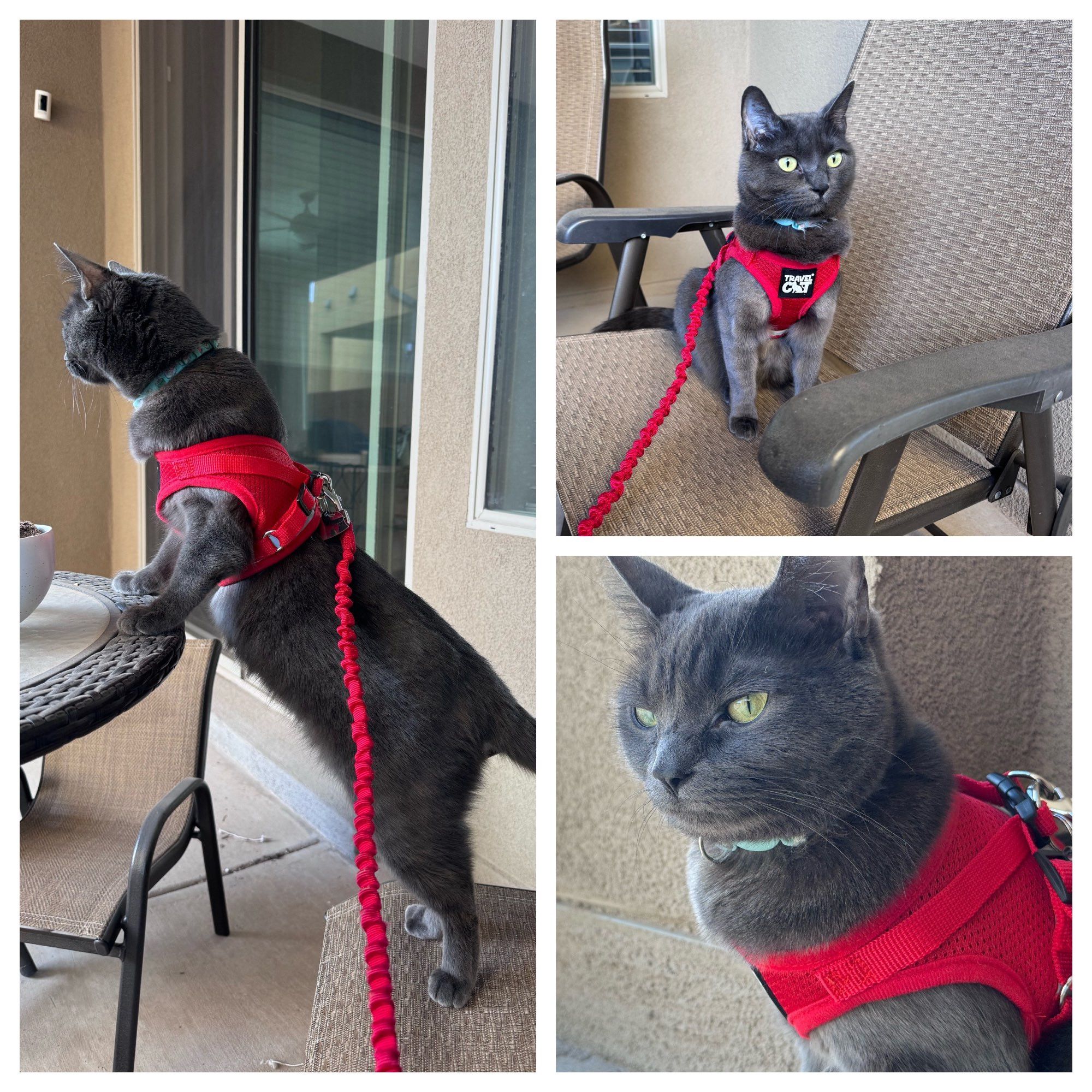 Bluesky Post 2024-03-16