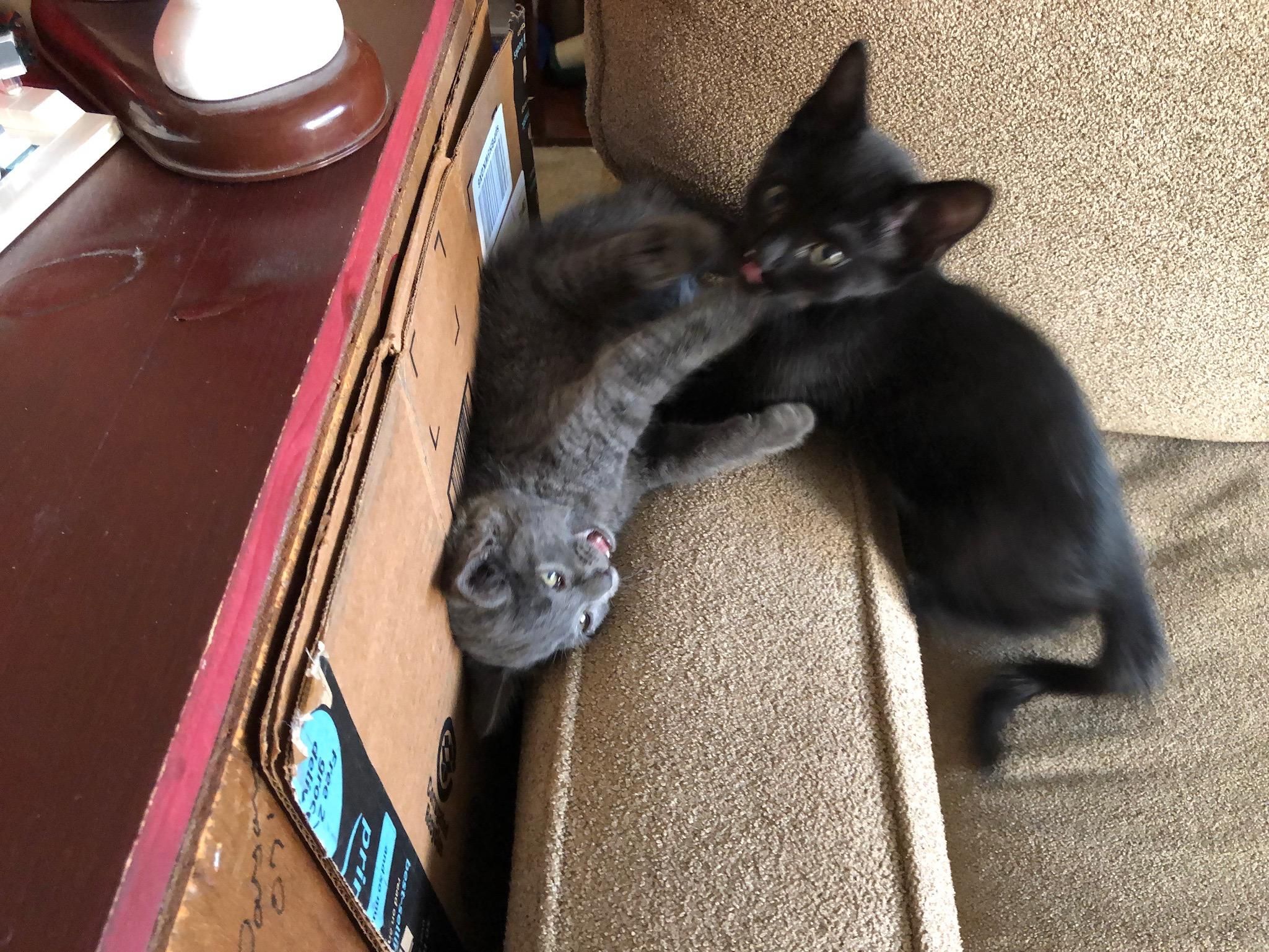 Mastodon Post 2025-04-08