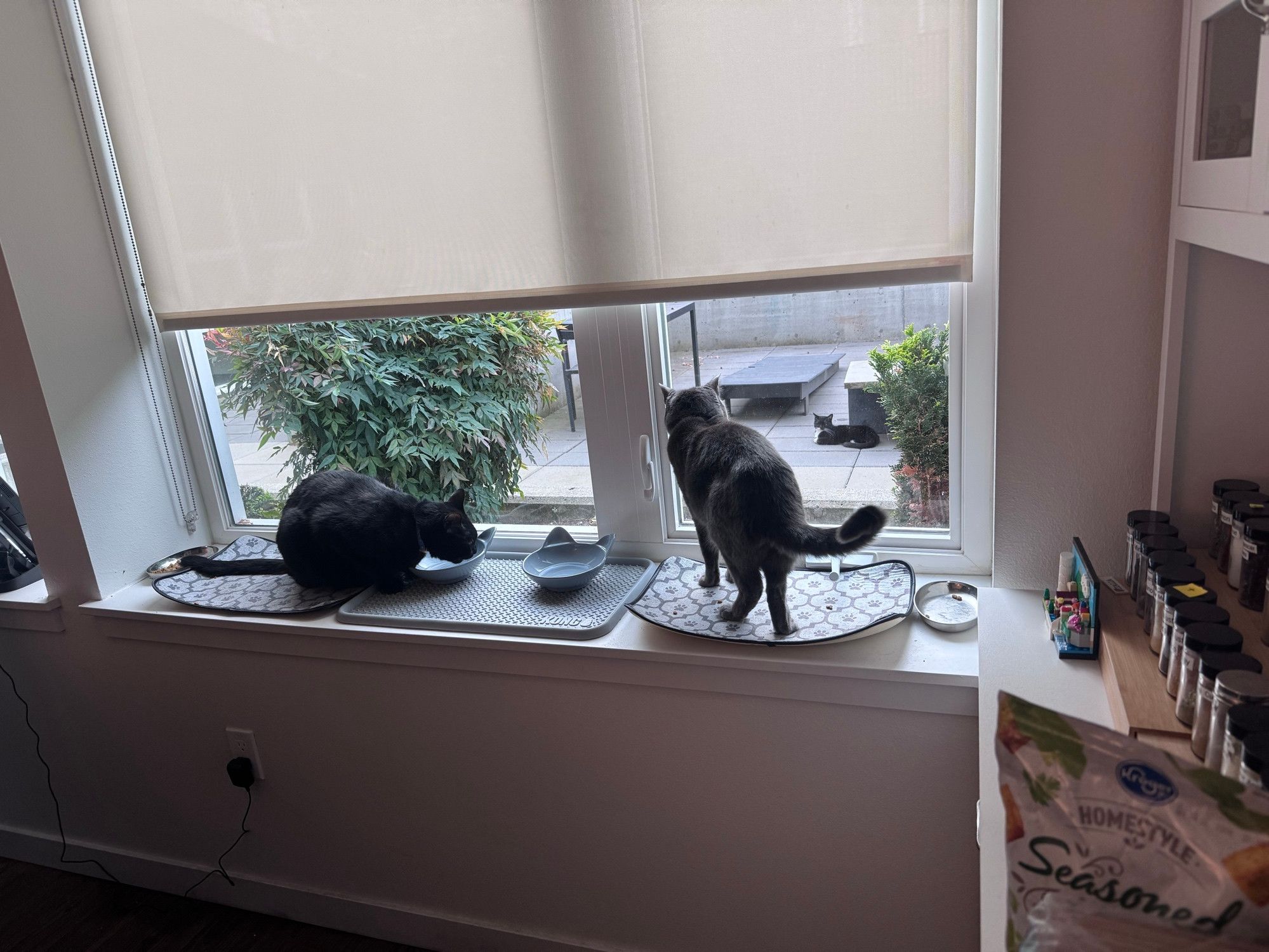 Bluesky Post 2025-09-20