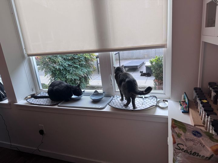 Bluesky Post 2025-09-20