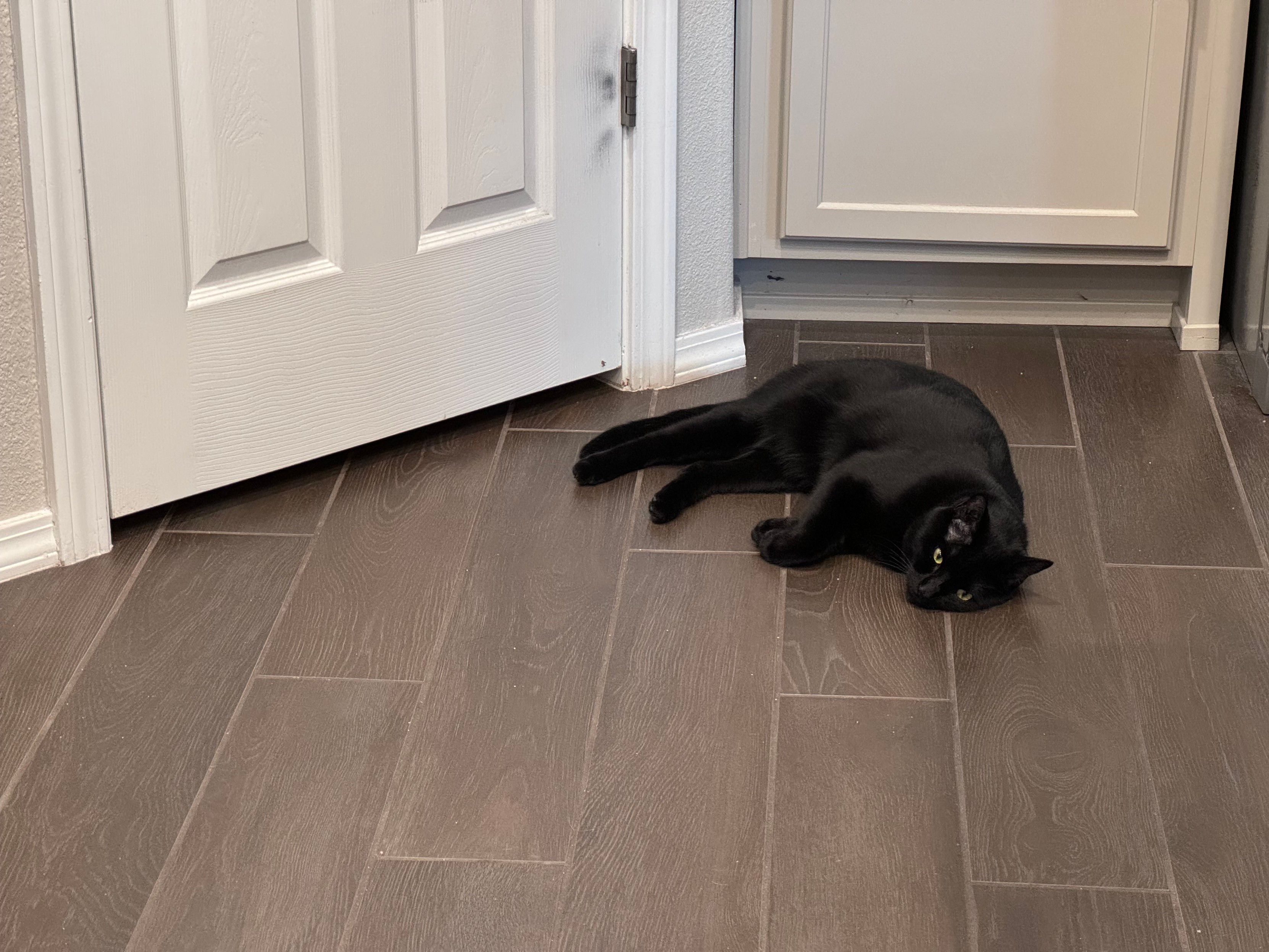 Mastodon Post 2024-06-29