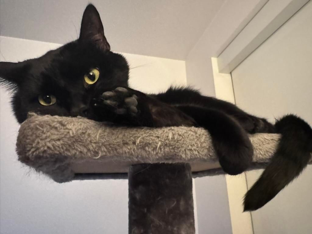 Mastodon Post 2025-12-07