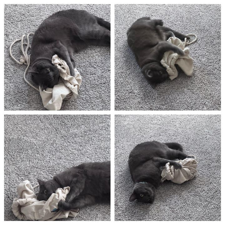 Mastodon Post 2025-04-19