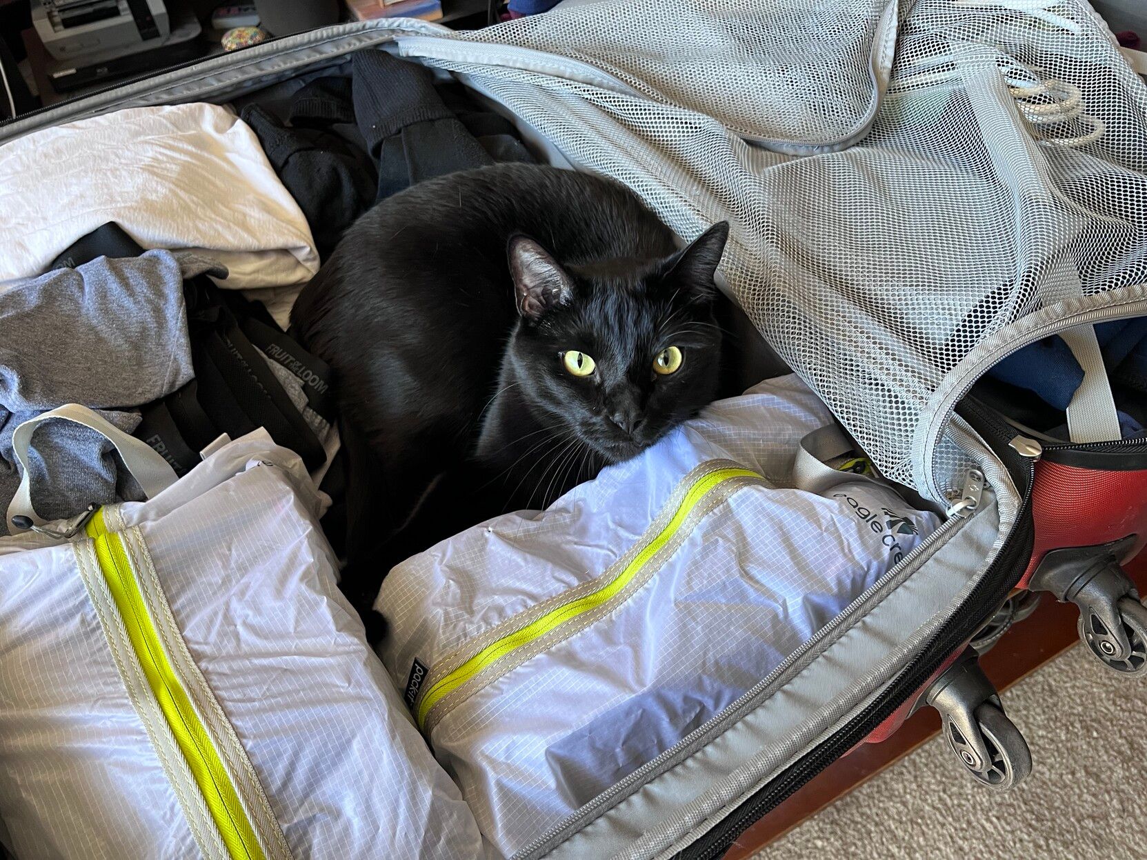 Mastodon Post 2023-06-03