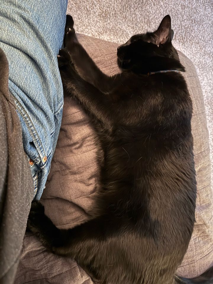 Bluesky Post 2024-11-06