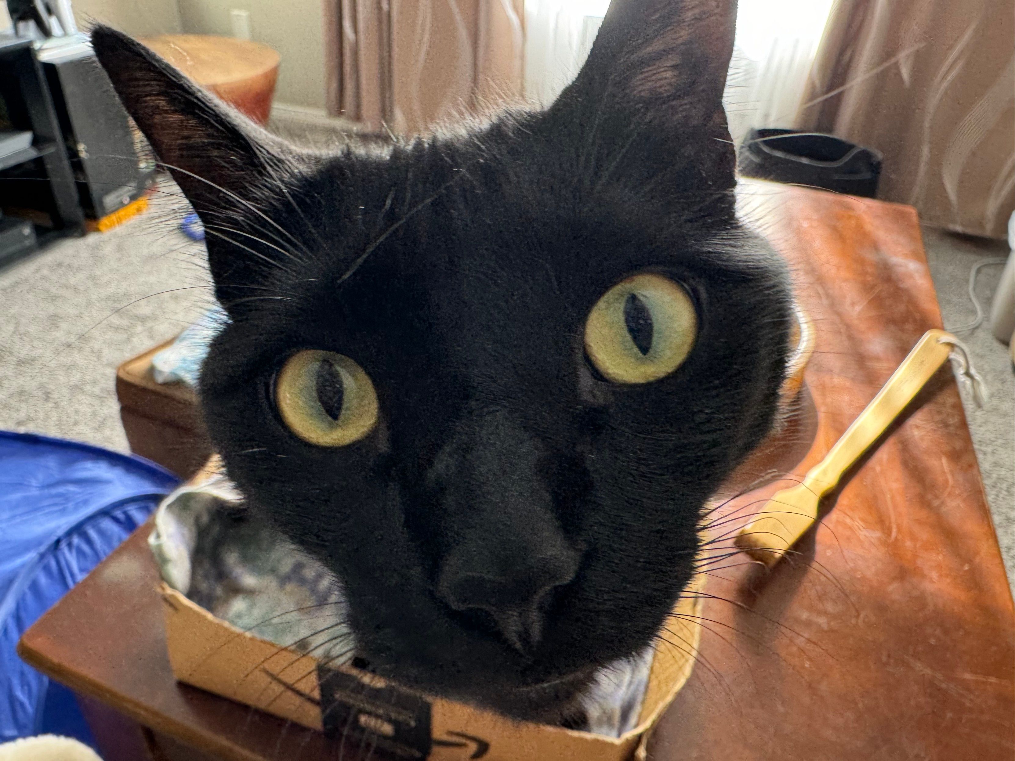 Mastodon Post 2024-03-10