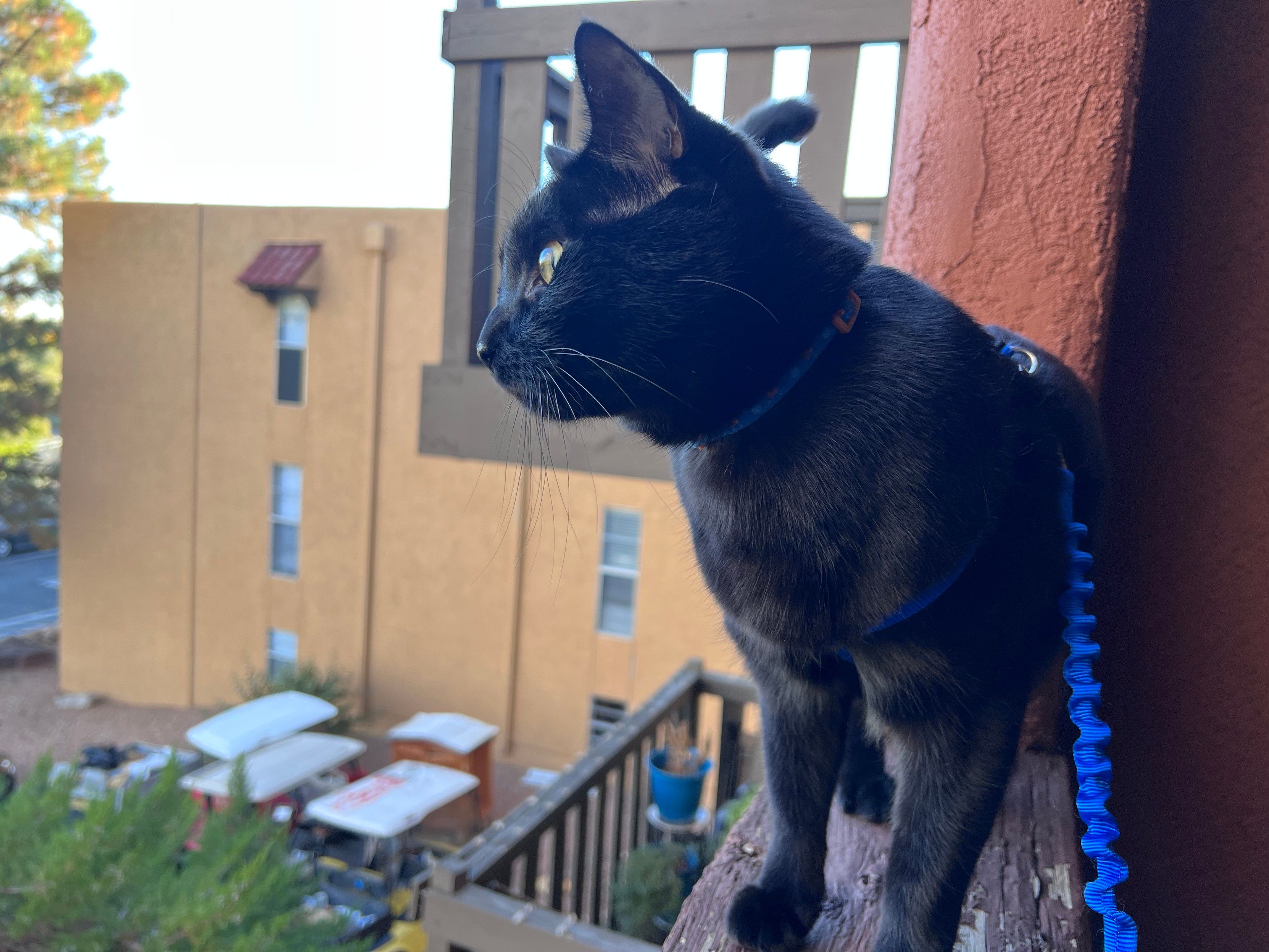 Mastodon Post 2024-01-13