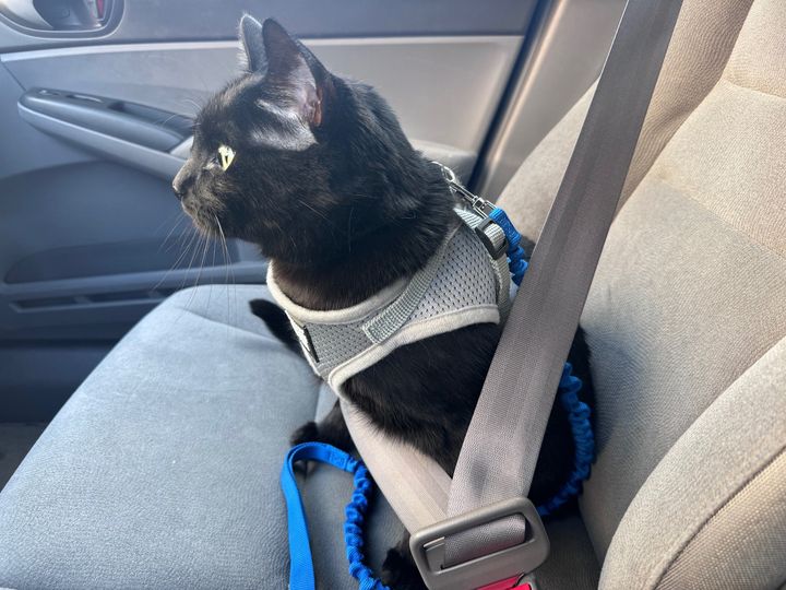 Bluesky Post 2024-05-04