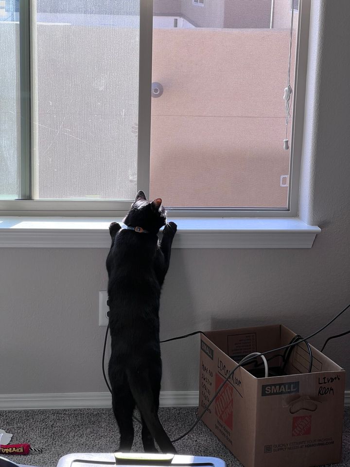 Mastodon Post 2023-09-23