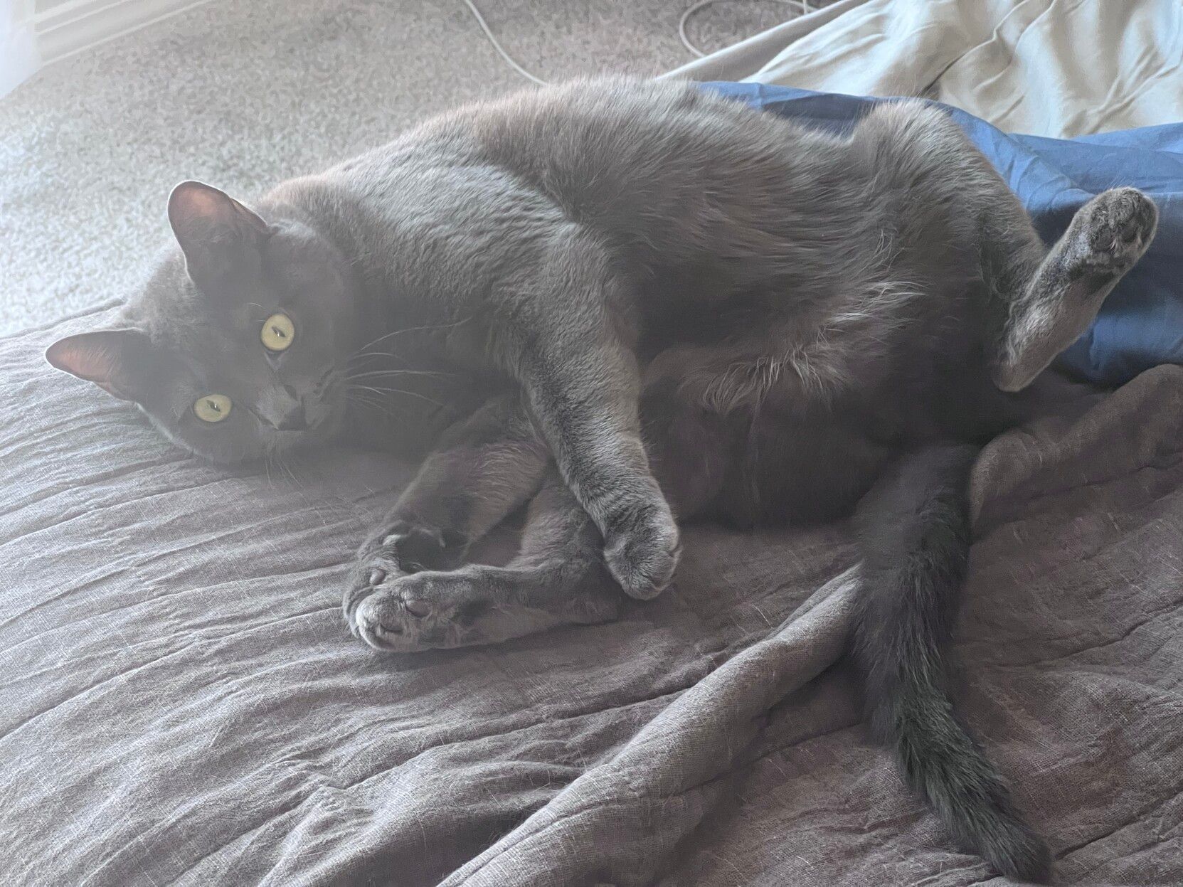 Mastodon Post 2023-06-24