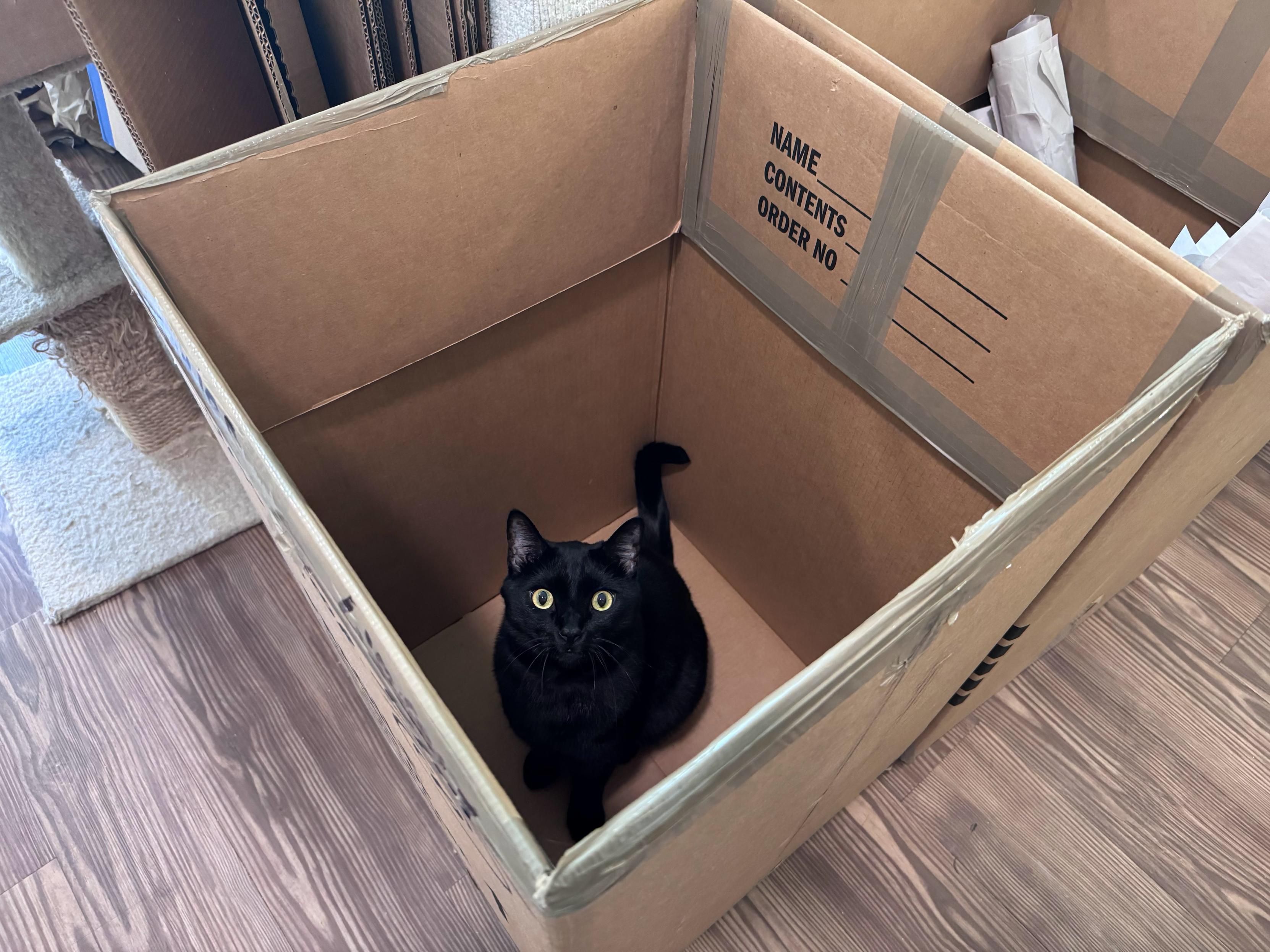 Mastodon Post 2025-08-02