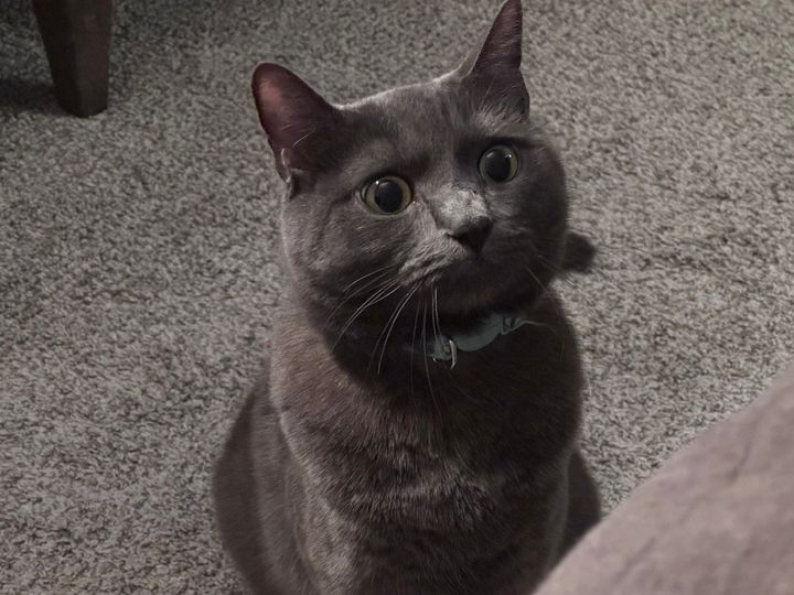 Mastodon Post 2024-10-05