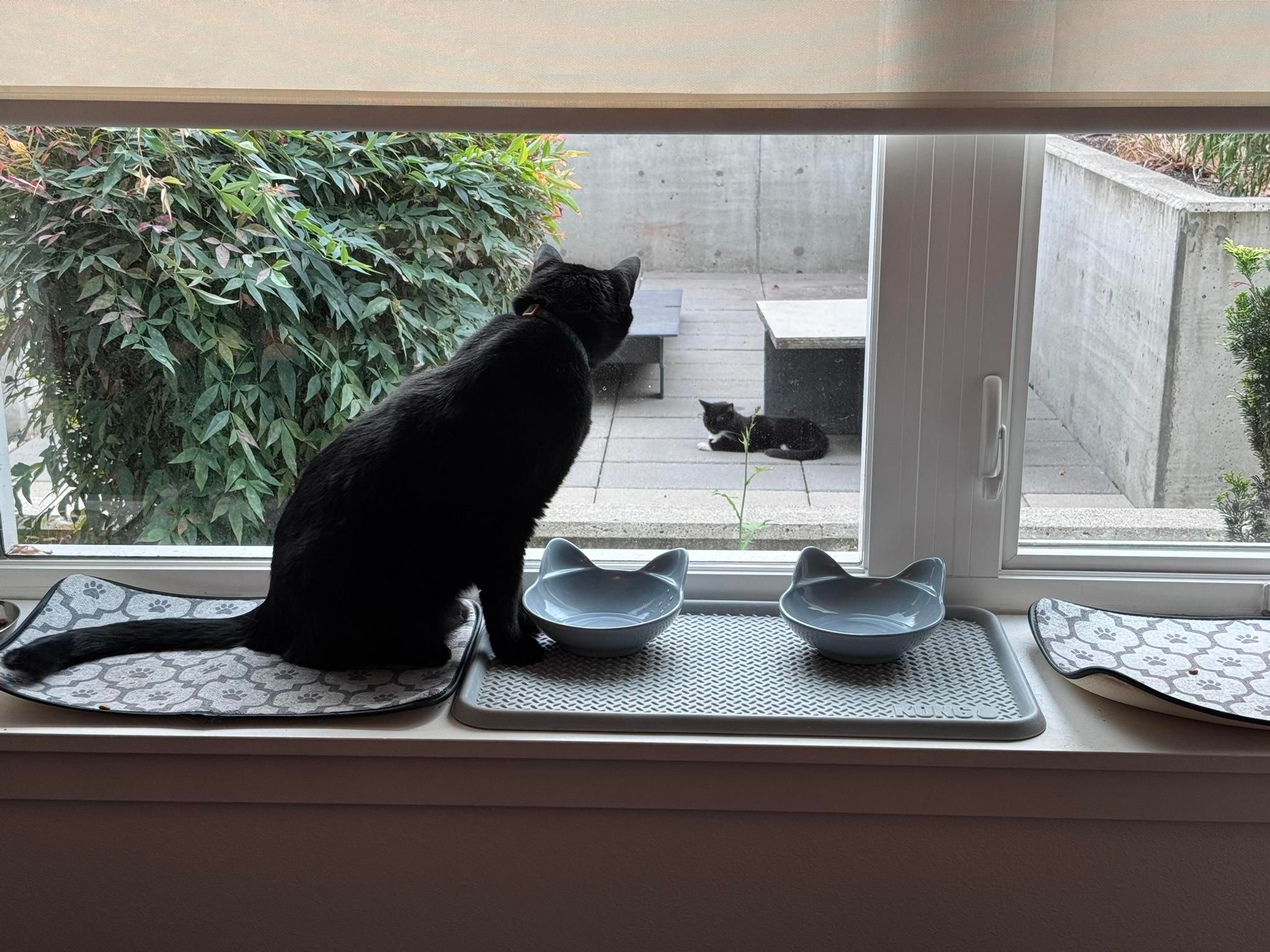 Mastodon Post 2025-08-30