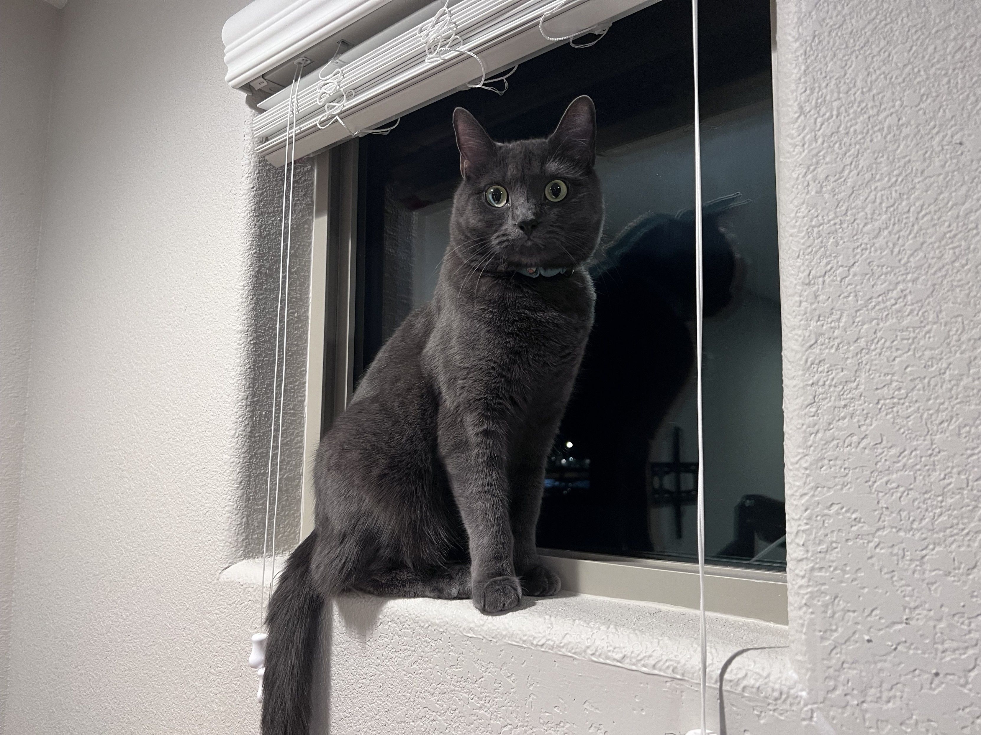 Mastodon Post 2024-03-30