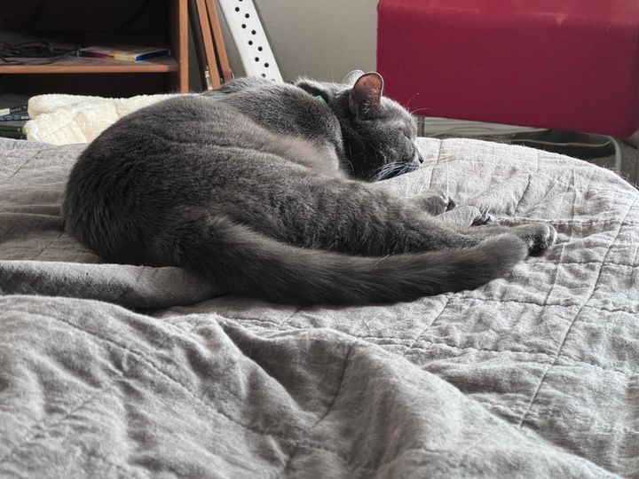 Mastodon Post 2025-01-25