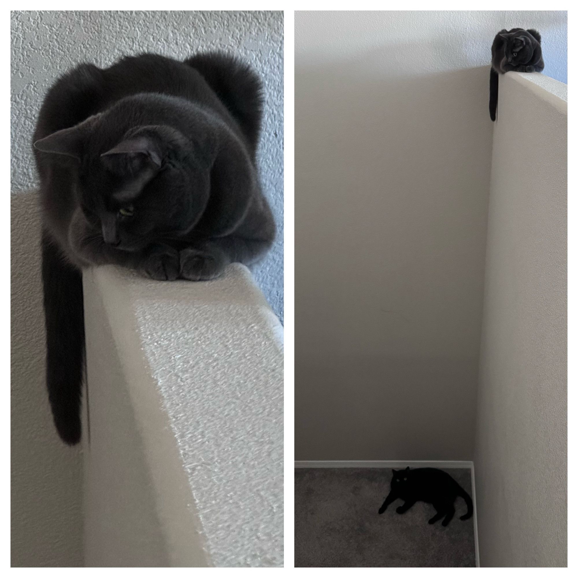 Bluesky Post 2024-05-11